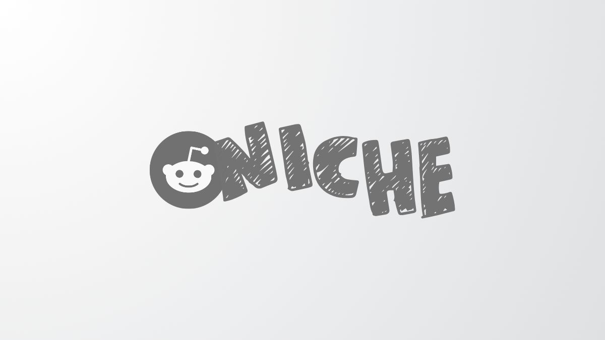 The Reddit alien logo next to the word "NICHE" in a textured, rounded font, on a gray background